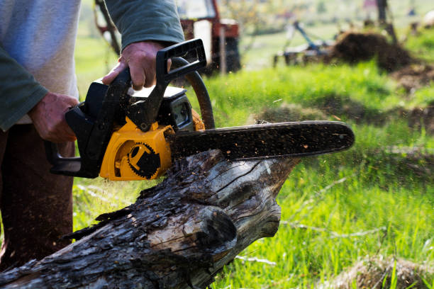 Mulching Services in Privateer, SC